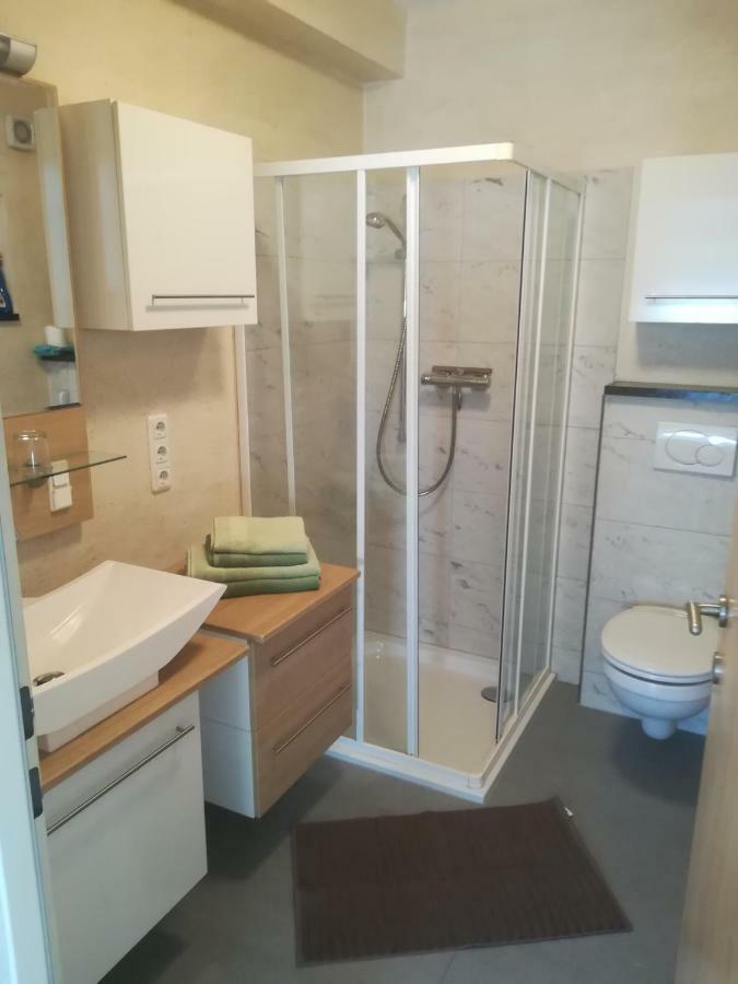 Apartment-Studio Kirisits Mittersill Zewnętrze zdjęcie